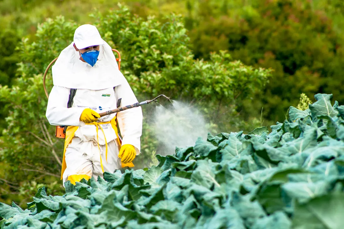 Cazul MONSANTO. Substanţe cancerigene, războaie lobbystice europene şi o Românie care vrea erbicide cât mai multe